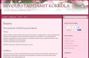 V&M Siivousvinkit joka kotiin